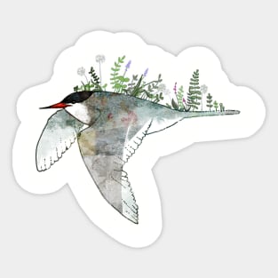 Arctic Tern Sticker